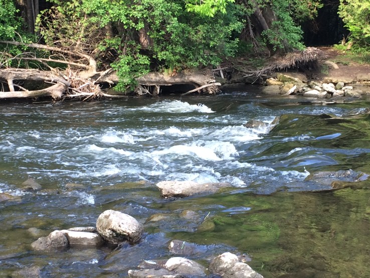 river near my house